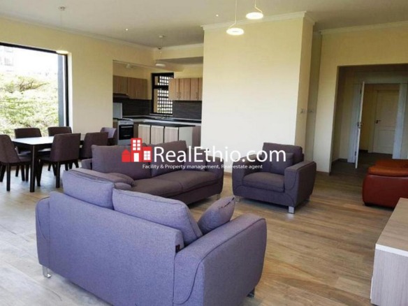 Wolo Sefer, three bedrooms apartment for rent, Addis Ababa
