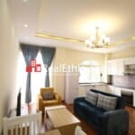 Olympia, furnished 2 bedrooms apartment for rent, Addis Ababa.
