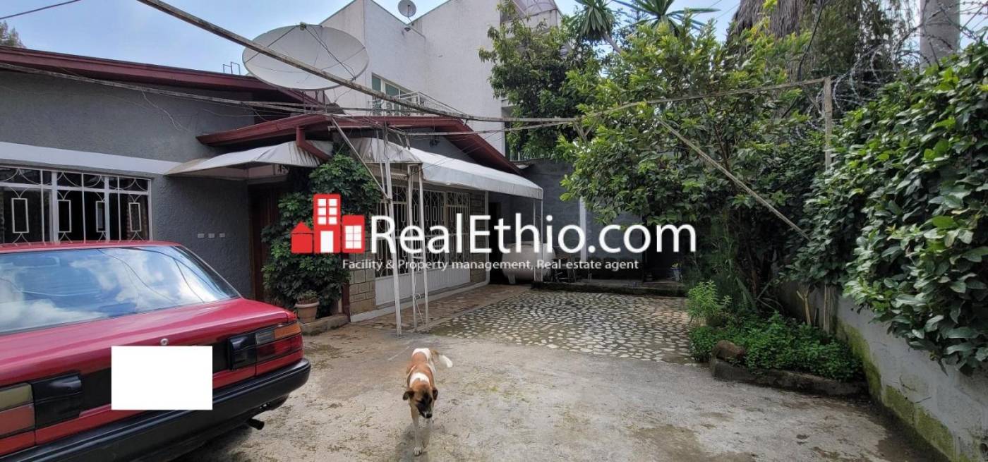 Gerji Mebrathail, 3 bedrooms furnished house for rent, Addis Ababa. Gerji Mebrathail, 3 bedrooms furnished house for rent, Addis Ababa.