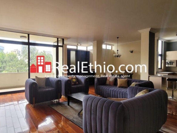 4 Bedrooms furnished apartment for rent, Meskel Flower, Addis Ababa, Ethiopia.