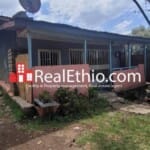 Aficho Ber or Kechene, 2 bedrooms old house for sale, Addis Ababa.