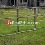 Legetafo around CCD realestate, land for sale, Oromia, Ethiopia.