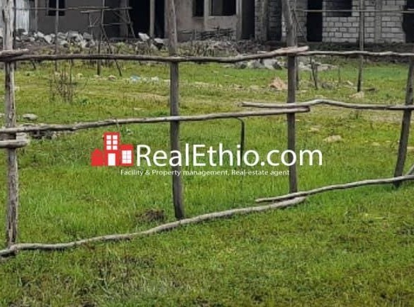 Legetafo around CCD realestate, land for sale, Oromia, Ethiopia.