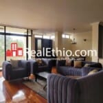 Meskel flower, furnished 4 bedrooms apartment for rent, Addis Ababa
