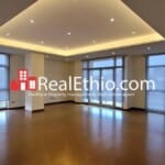 Bole Wolo Sefer, 1 bedroom luxury apartment for rent, Addis Ababa.