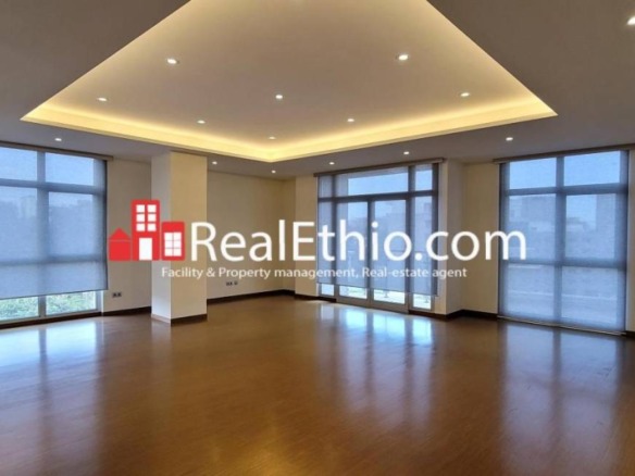 Bole Wolo Sefer, 1 bedroom luxury apartment for rent, Addis Ababa.