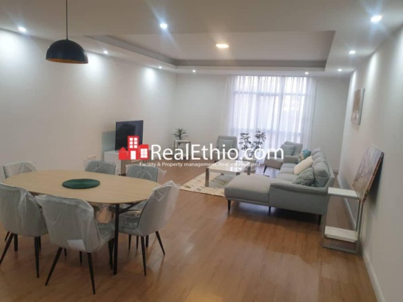 Hayahulet, furnished 4 bedrooms apartment for rent, Addis Ababa.
