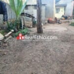 Megenagna Top view, 884 meter square old house for sale, Addis Ababa.