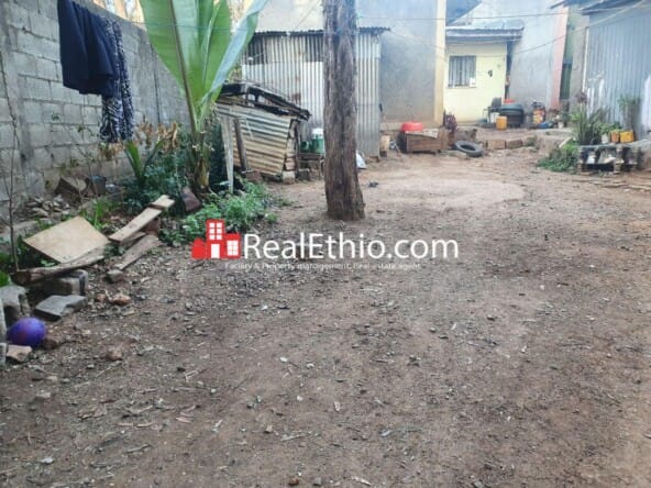 Megenagna Top view, 884 meter square old house for sale, Addis Ababa.
