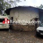 Megenagna Shola, old house on 800 meter square plot for sale, Addis Ababa.