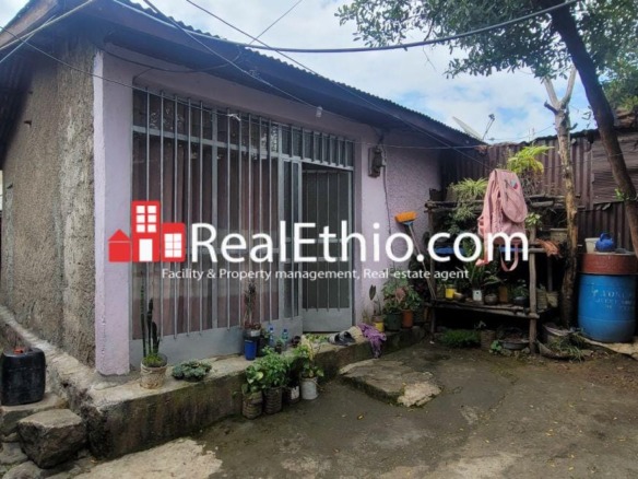 Saris Bihere Tsige, 7 rooms old house for sale, 234 meter square, Addis Ababa.