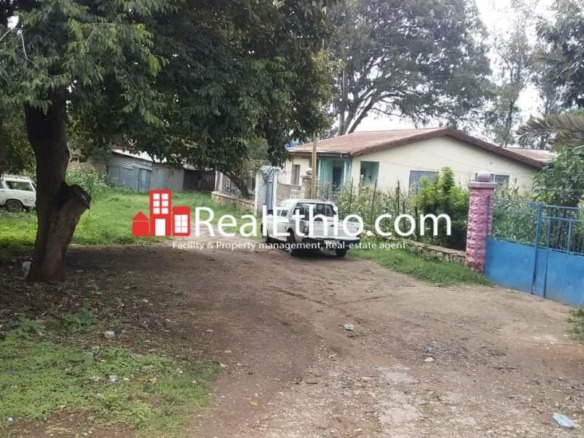 5 Bedroom House for sale, Hareri, Harar, Ethiopia.