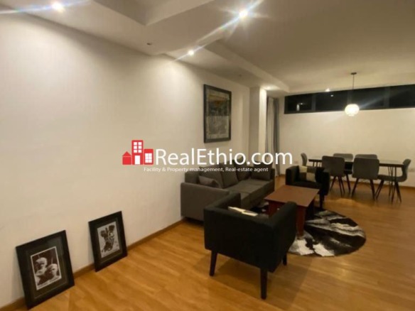 Meskel square, Two Bedrooms, Furnished Apartment for Rent, Addis Ababa, Ethiopia.