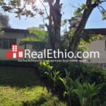 Bisrate Gebriel, Villa+Basement Three Bedrooms House for Sale, Addis Ababa.