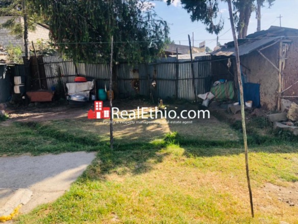 Kotebe Kidane Mihiret, Land or house for Sale, Addis Ababa.