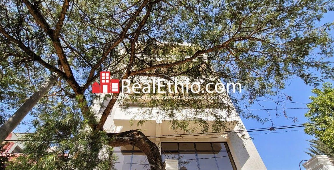 Ayer Tena, G+4+ Terrace Apartment Building for Rent, Addis Ababa.