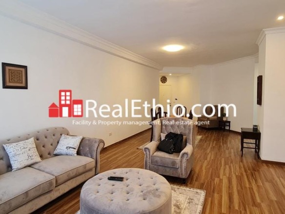 Bole Atlas, 2 bedrooms fully furnished apartment for rent, Addis Ababa.