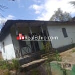 Merkato Teklehaymanot, house for Sale, Addis Ababa, Ethiopia.