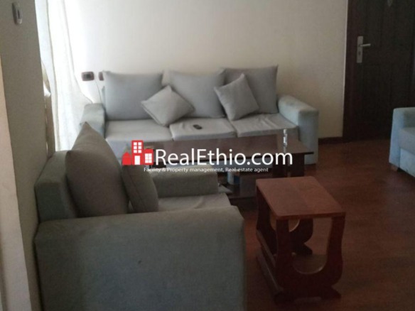 Imperial, Two bedrooms fully furnished apartment for rent, Addis Ababa.