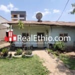 Ayer Tena, Old villa house for sale, Addis Ababa.