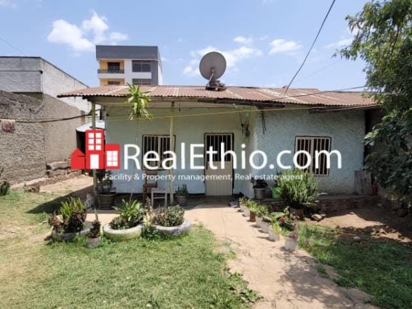 Ayer Tena, Old villa house for sale, Addis Ababa.