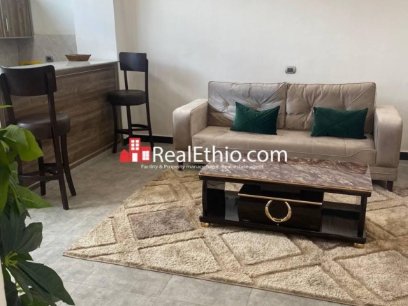 Lideta, Furnished 1 bedroom apartment for rent, Addis Ababa.
