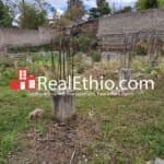 Kotebe 02, Building and House for Sale, Addis Ababa.