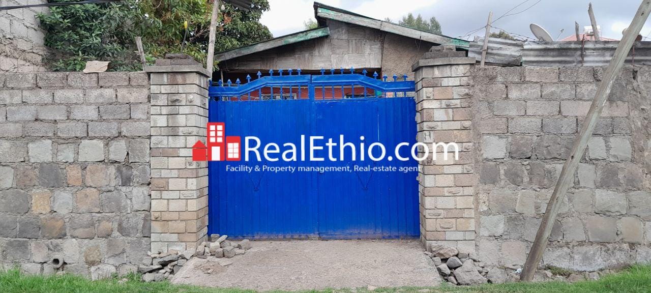 Kotebe, House for Sale, Addis Ababa. Kotebe, House for Sale, Addis Ababa.