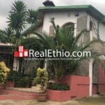 Lancha Beklo bet, 4 bedrooms G+1 house for Rent, Addis Ababa, Ethiopia.