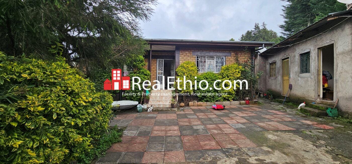 Kotebe 02, 3 Bedrooms House for Sale, Addis Ababa. Kotebe 02, 3 Bedrooms House for Sale, Addis Ababa.