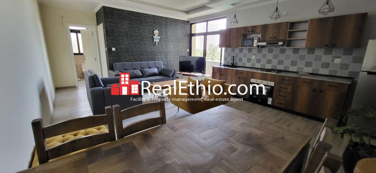 1 Bedroom Furnished Apartment for Rent, Aware, Addis Ababa, Ethiopia. 1 Bedroom Furnished Apartment for Rent, Aware, Addis Ababa, Ethiopia.