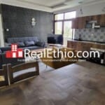 Aware, One bedroom Furnished Apartment for Rent, Addis Ababa.
