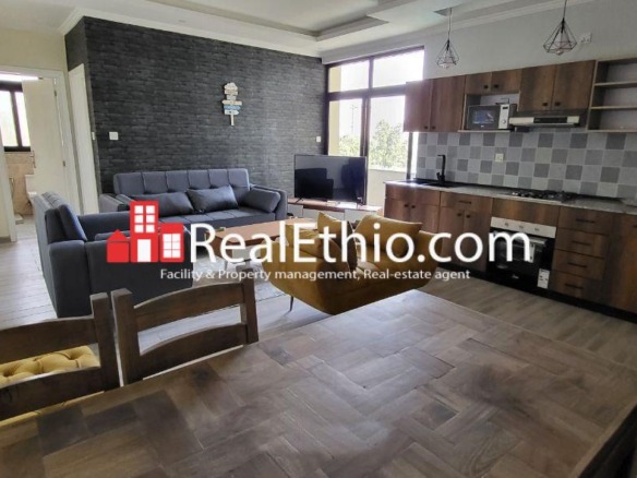 Aware, One bedroom Furnished Apartment for Rent, Addis Ababa.