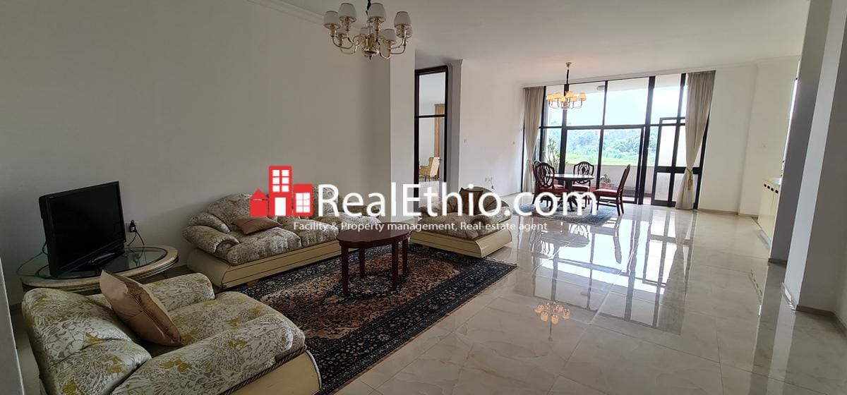 Bole Atlas, 2 Bedrooms furnished apartment for rent, Addis Ababa.