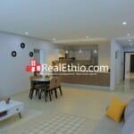 Kazanchis near UNECA, 3 bedrooms furnished apartment for rent, Addis Ababa.
