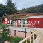 Kebena Top view, Furnished Four Bedroom Villa House for Rent, Addis Ababa, Ethiopia.