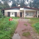Kechene, 3 bedrooms House for Sale, Addis Ababa.