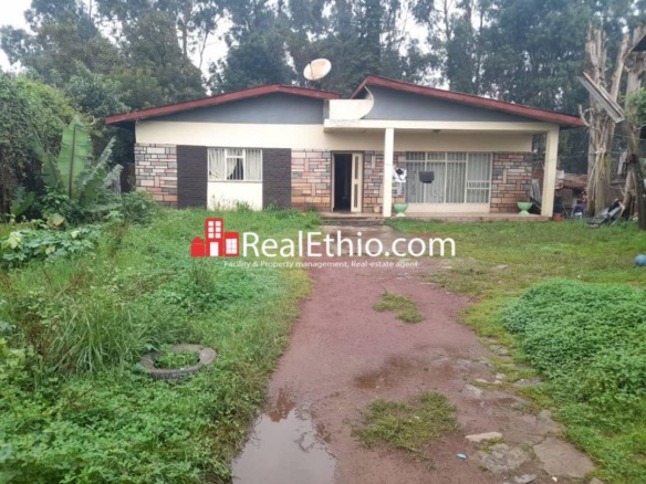 Kechene, 3 bedrooms House for Sale, Addis Ababa.