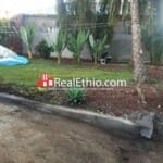 Kotebe beretaberet, House for Sale, Addis Ababa.