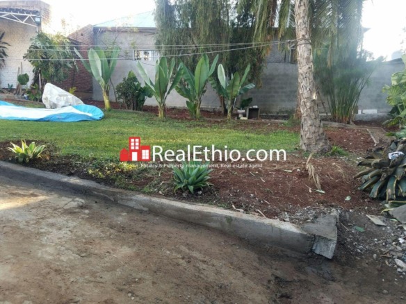 Kotebe beretaberet, House for Sale, Addis Ababa.