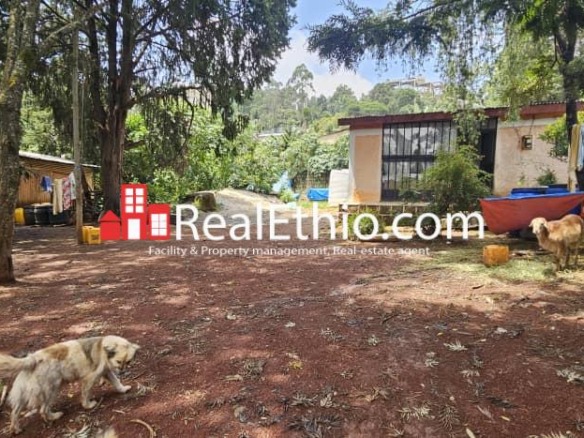 Megenagna top view By Israel embassy, House or Land for Sale, Addis Ababa.