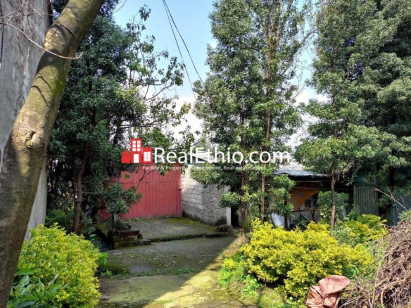 Kebena, House or Land for Sale, Addis Ababa.