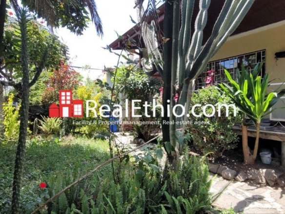 Sarbet, House or Land for Sale, Addis Ababa.