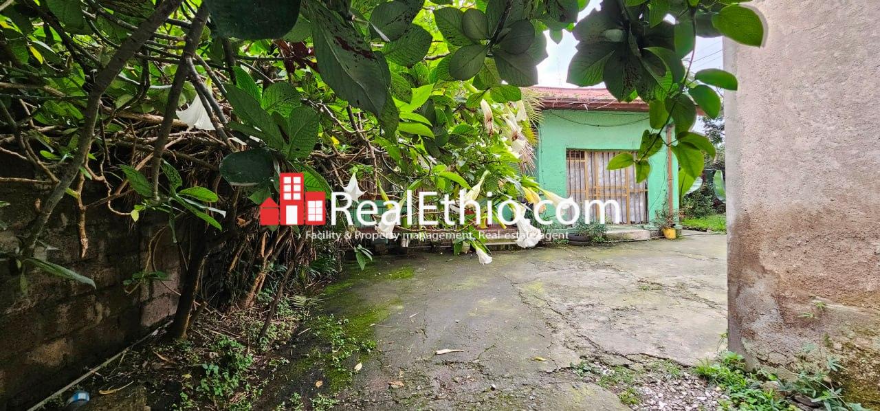 Gotera, 2 Bedrooms House for Sale, Addis Ababa.