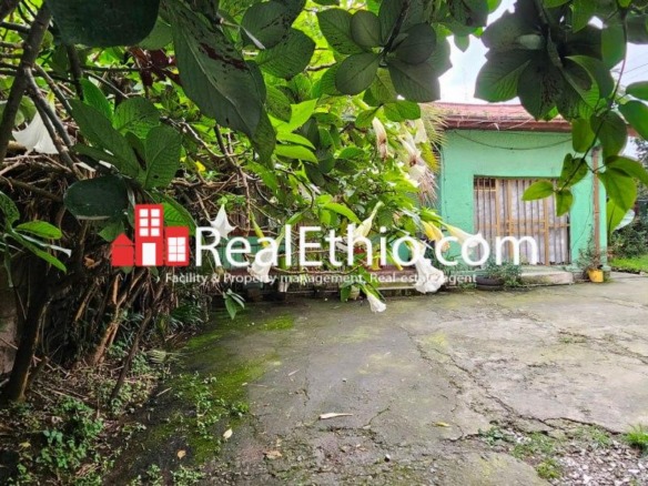 Gotera, Two bedrooms House for Sale, Addis Ababa.