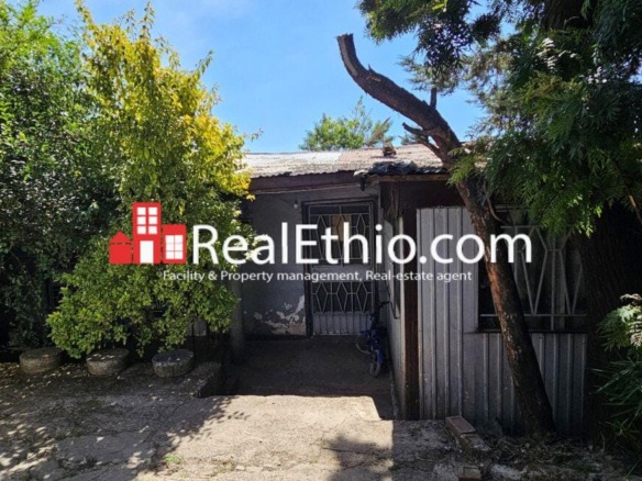 Kebena British Embassy, Two bedrooms House for Sale, Addis Ababa.