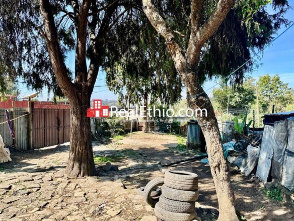 Kebena, House or Land for Sale, Addis Ababa.
