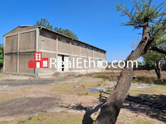 Nazret Adama, Store for Sale, Oromia.
