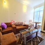 1 Bedroom furnished apartment for Rent, Lemhotel, Addis Ababa, Ethiopia.