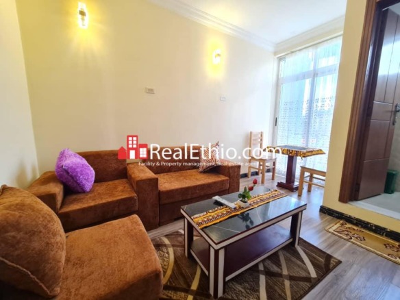 1 Bedroom furnished apartment for Rent, Lemhotel, Addis Ababa, Ethiopia.